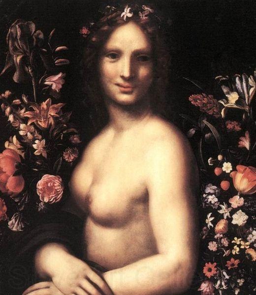 Carlo Antonio Procaccini Flora